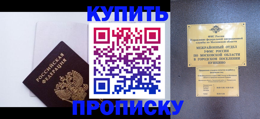 найти адрес прописки в Елизово